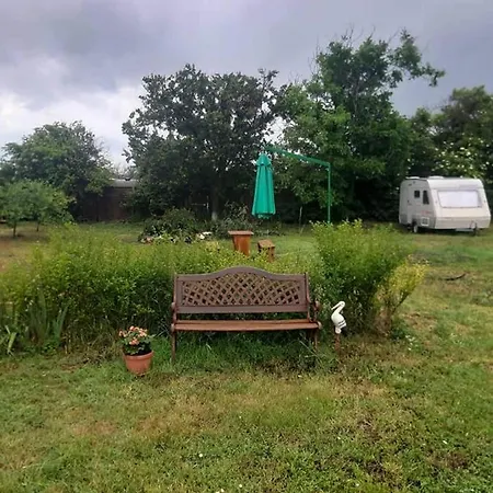 Little Oasis