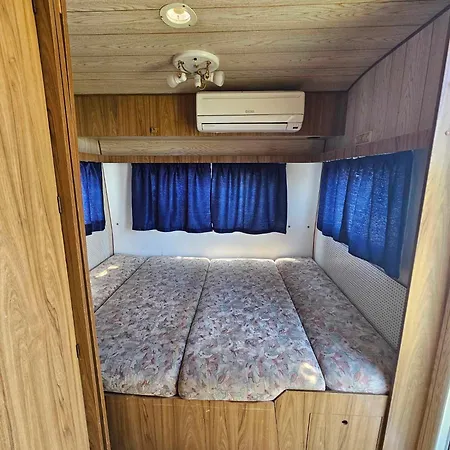 Little Oasis Ezerets