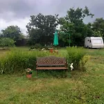 Little Oasis