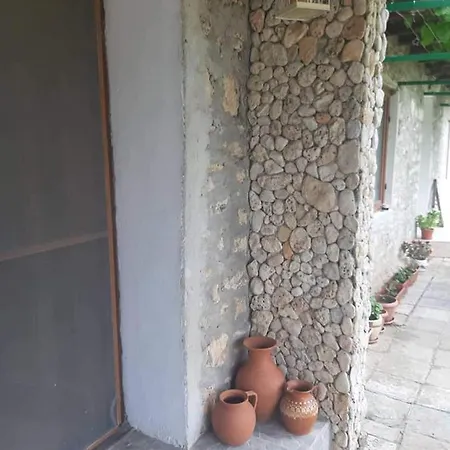 Little Oasis 营地 Ezerets