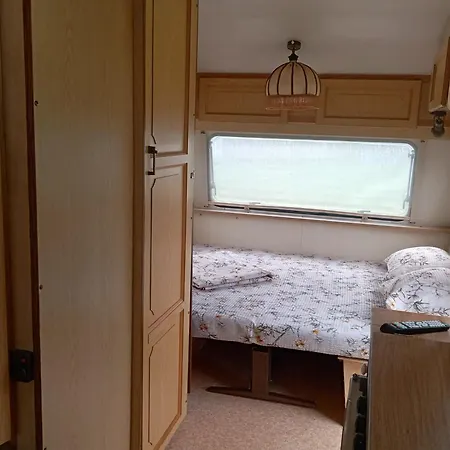 营地 Little Oasis *