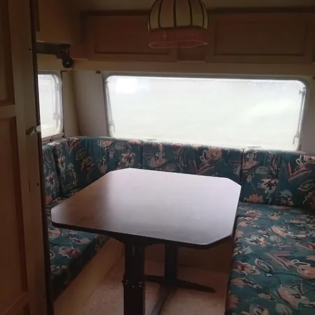 Little Oasis * Ezerets