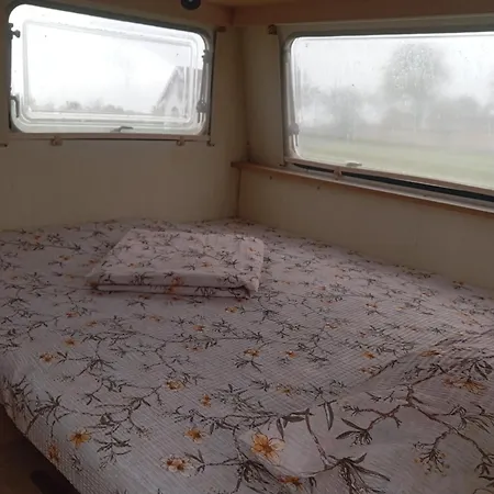 营地 Little Oasis *