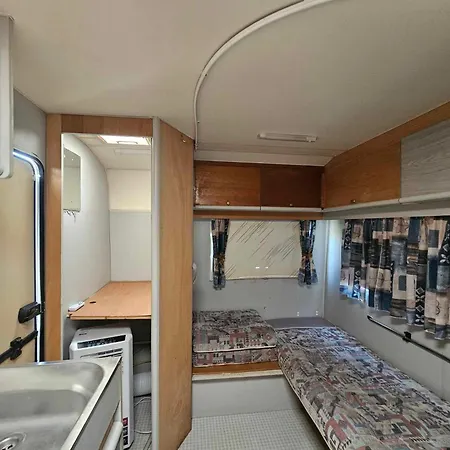 Little Oasis * Ezerets