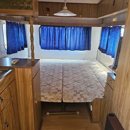 Little Oasis * Ezerets