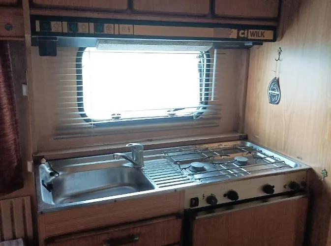 キャンプ場 Little Oasis *