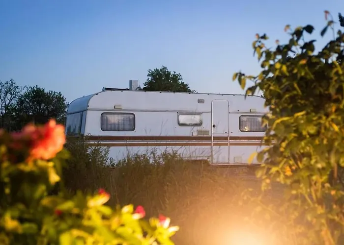 Little Oasis * Ezerets