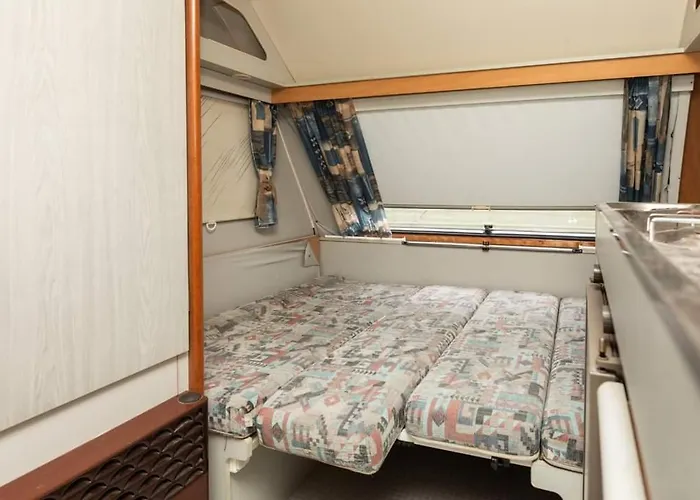 Little Oasis キャンプ場 *