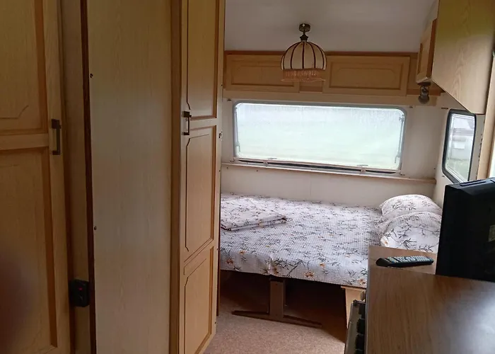 キャンプ場 Little Oasis *