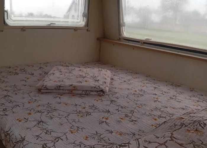 キャンプ場 Little Oasis *