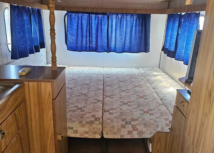 Little Oasis * Ezerets